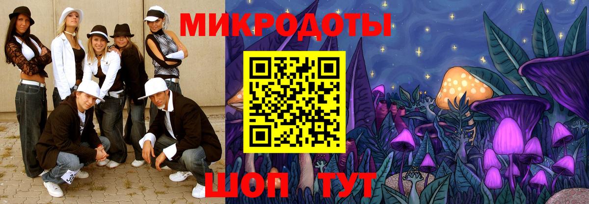 Галлюциногенные грибы MAGIC MUSHROOMS  Вход с VPN  Лесной 