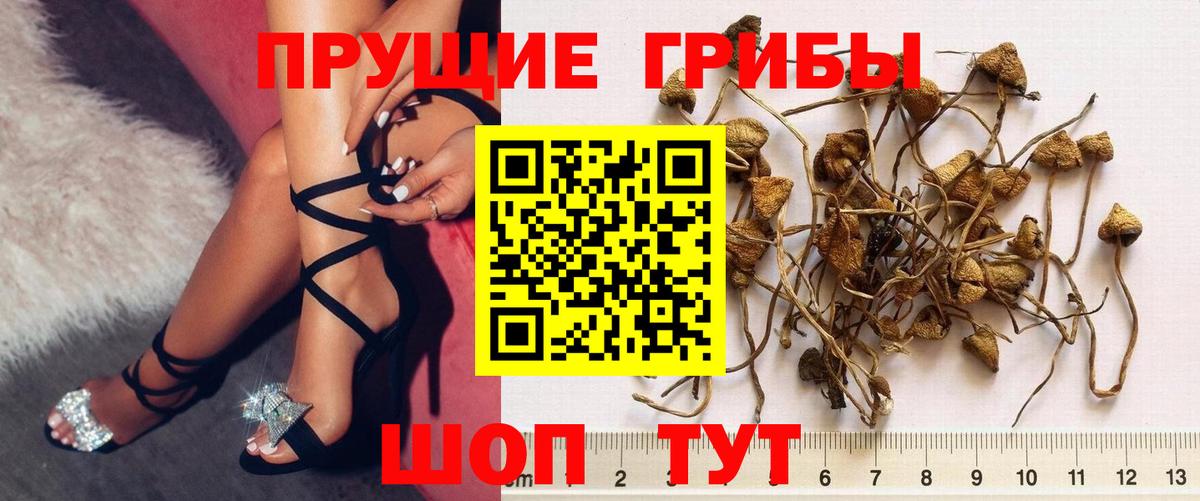 Галлюциногенные грибы мицелий Лесной